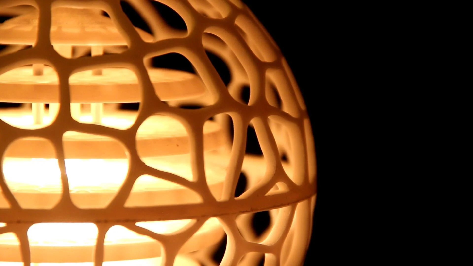 CATALIGHT Promo Video